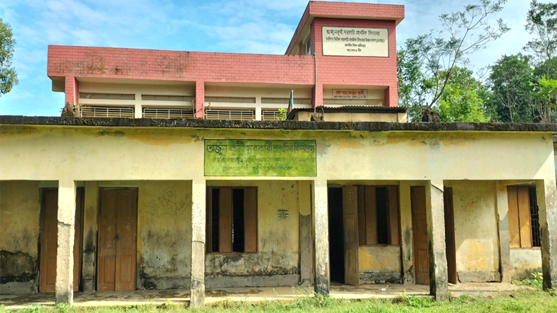 স্কুলের পুরাতন ভবনগুলো এখন গলার কাঁটা