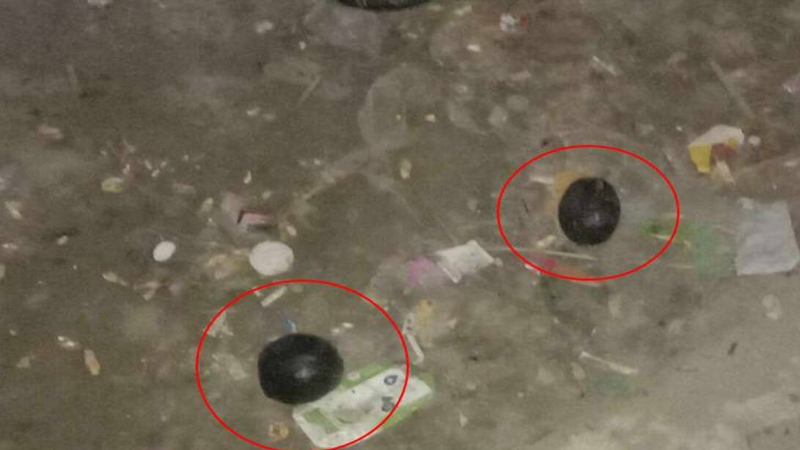 জয় বাংলা স্লোগান দিয়ে ককটেল বিস্ফোরণ