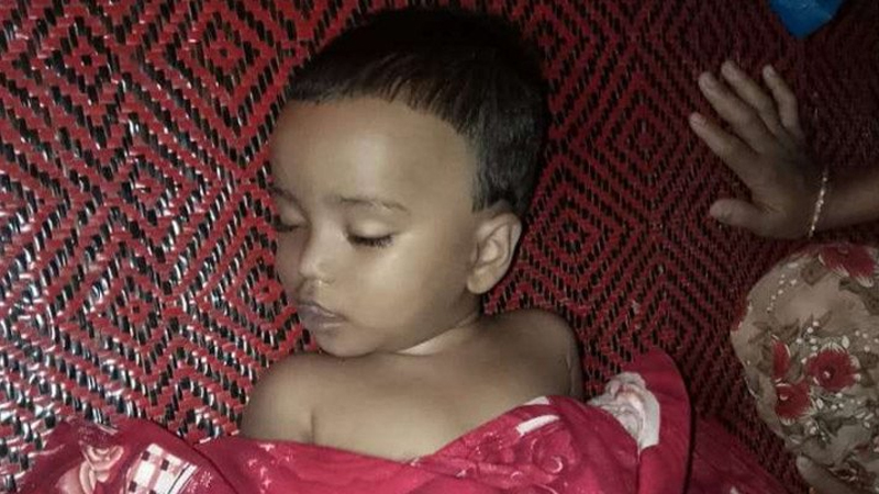 খেলতে গিয়ে ডোবায় ডুবে প্রাণ গেল শিশুর