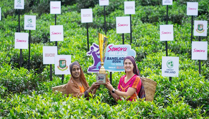 চা বাগানেই উন্মোচিত হলো বাংলাদেশ-আয়ারল্যান্ডের ট্রফি