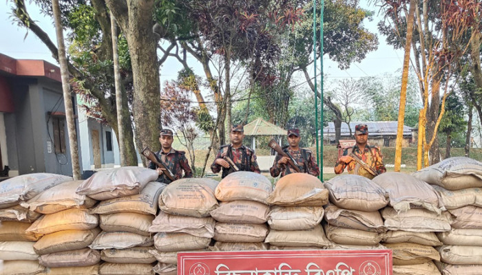 সিলেটে কোটি টাকার চোরাচালান ধরল বিজিবি