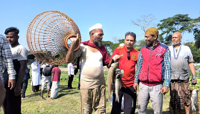 গোয়াহরি বিলে পলো বাওয়া উৎসবে মানুষের ঢল