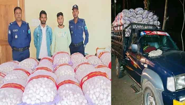 দোয়ারাবাজারে ১৪৬ বস্তা রসুনসহ দুই চোরাকারবারি গ্রেফতার