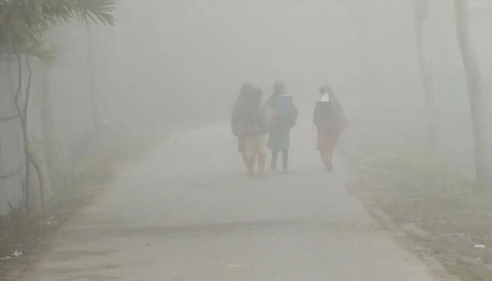 ঘন কুয়াশার চাদরে ঢাকা সিলেট, জনজীবন বিপর্যস্ত
