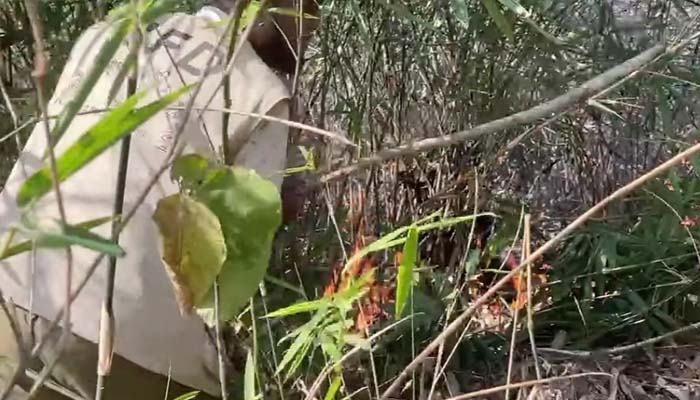 কমলগঞ্জের লাউয়াছড়া বনে আগুন