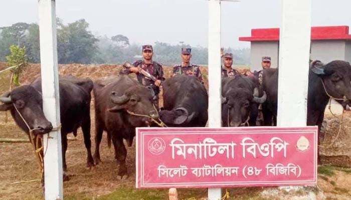 সিলেট সীমান্তে সোয়া কোটি টাকার ভারতীয় পণ্য জব্দ