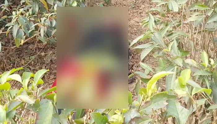 কমলগঞ্জে নিখোঁজের একদিন পর গলা ও হাত কাটা শিশুর লাশ উদ্বার
