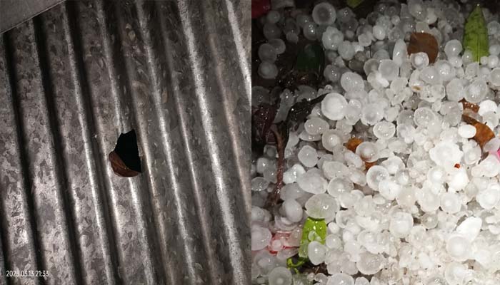 জৈন্তাপুরে শিলাবৃষ্টিতে ঘরের টিন ফুটোসহ ফসলের ব্যাপক ক্ষতি