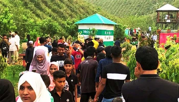গোলাপগঞ্জের আনারস বাগানগুলো পর্যটকদের পদচারণায় মুখরিত