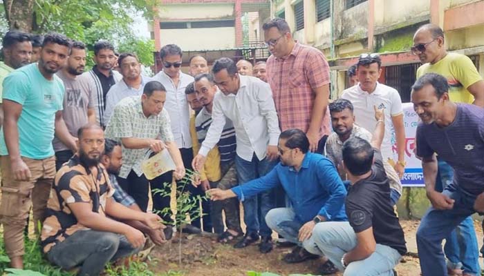 ডা. জুবাইদা রহমানের জন্মবার্ষিকীতে সিলেট জেলা ও মহানগর যুবদলের বৃক্ষরোপণ কর্মসূচি পালন