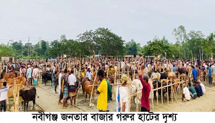 জেলা প্রশাসনের নিষেধাজ্ঞাকে বৃদ্ধাঙ্গুলী দেখিয়ে আবারোও বসলো জনতার বাজার হাট