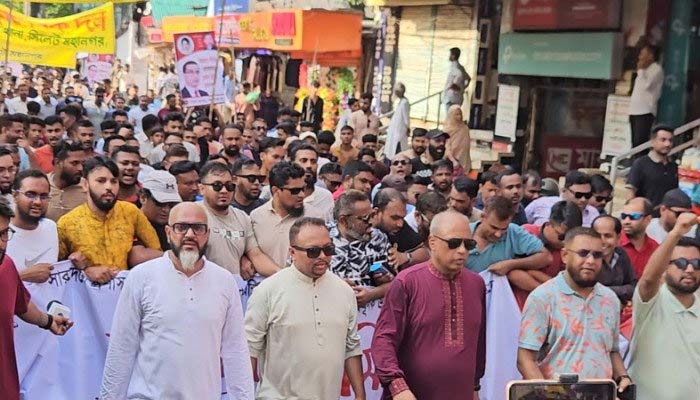 বিএনপি হচ্ছে ফিনিক্স পাখির দল : ডা. জাহিদ