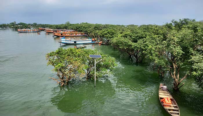 সুরক্ষিত ব্যবস্থাপনার অভাবে টাঙ্গুয়ার হাওর সবাই মিলে ধ্বংস করছে
