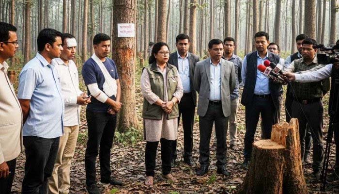 সাতছড়ি জাতীয় উদ্যান পরিদর্শনে যুগ্ম সচিব শামিমা
