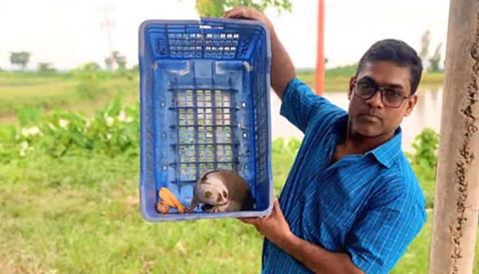 শ্রীমঙ্গল থেকে বিরল প্রজাতির লজ্জাবতী বানর উদ্ধার