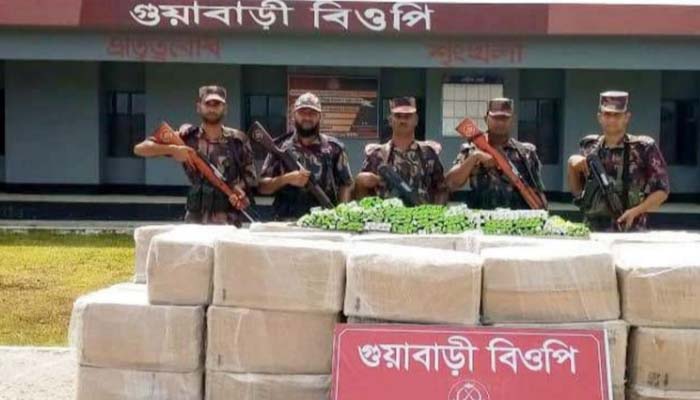 জৈন্তাপুরে ভারতীয় ওষুধের বড় চালান ধরল বিজিবি