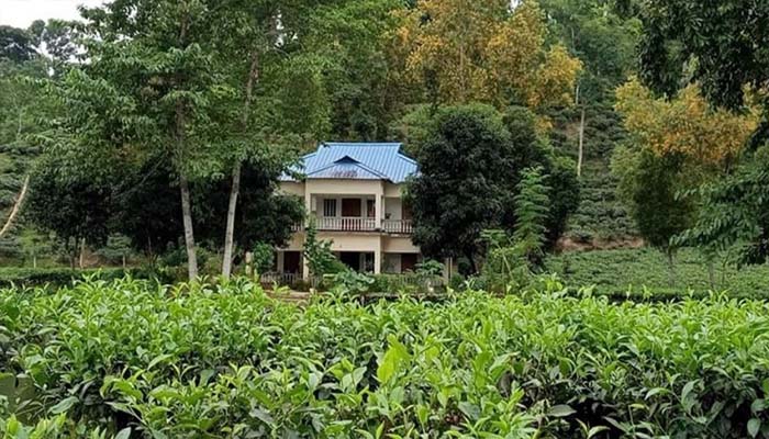 চা বাগানের ম্যানেজার বাংলোতে হামলা