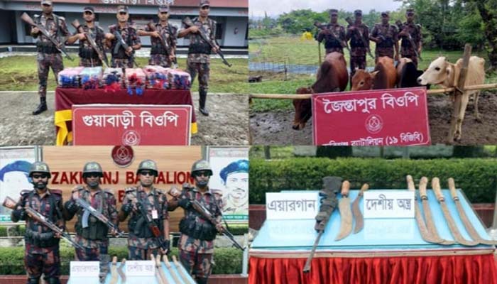 বিজিবির অভিযানে অস্ত্রসহ ১৬ লাখ টাকার চোরাইপণ্য জব্দ