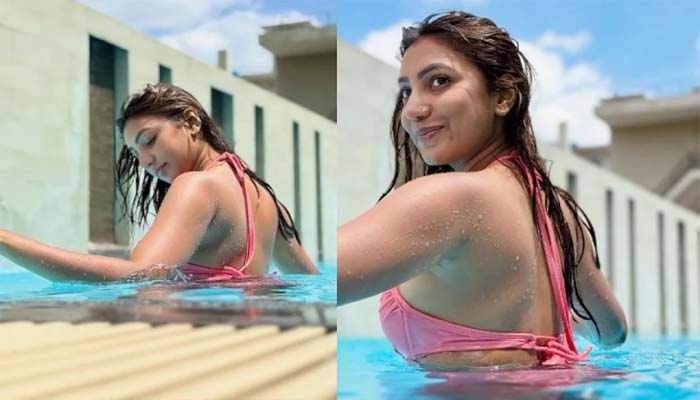 সুইমিংপুলে সুনেরাহ, নেটদুনিয়া উত্তাল