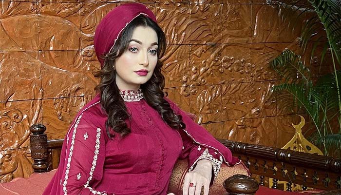 চলন্ত গাড়ি থেকে অভিনেত্রীর আইফোন ১৩ প্রো ম্যাক্স ছিনতাই
