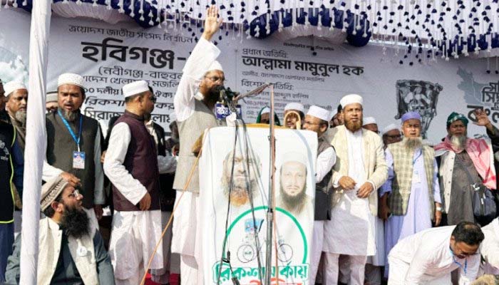 ১১ দলীয় জোট ক্ষমতায় এলে ঘরে ঘরে গ্যাস পৌঁছে দেওয়া হবে: মামুনুল হক