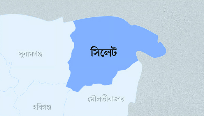 নির্বাচন উপলক্ষ্যে দেশে ফিরছেন সিলেটের প্রবাসীরা