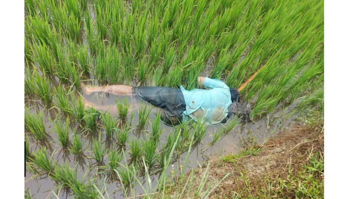 সিলেটে ধানক্ষেত থেকে যুবকের মরদেহ উদ্ধার