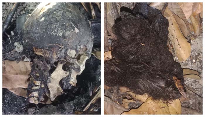 ঝোপে মিললো নারীর মাথার খুলি ও কঙ্কাল