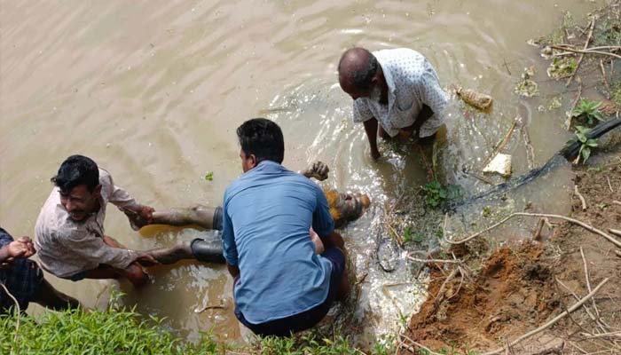 চুনারুঘাটে নদীতে ভেসে উঠল নিখোঁজ গরু ব্যবসায়ীর মরদেহ