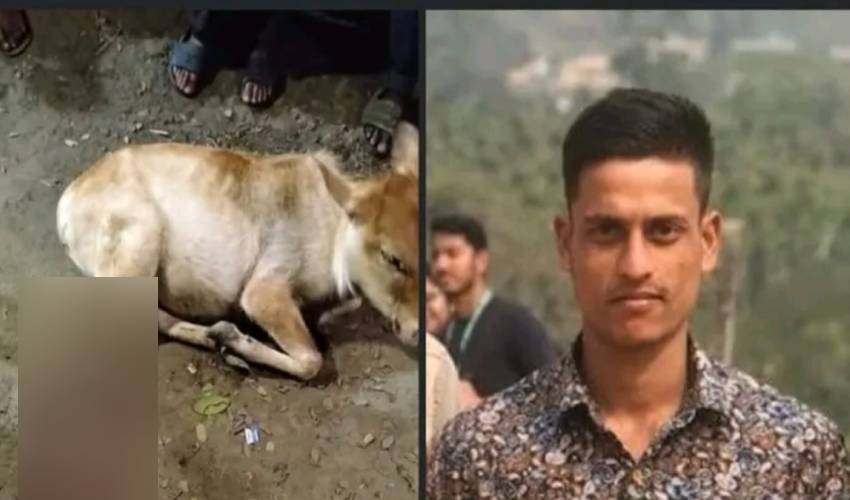 গোয়াইনঘাটে গরুর পা কাটা নিয়ে একুশে সিলেটে সংবাদ প্রকাশ, অভিযুক্ত হিফজুর আটক