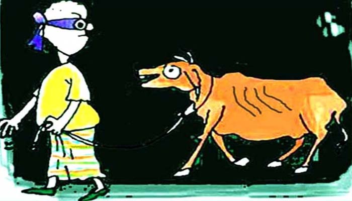 কোম্পানীগঞ্জে এক রাতেই ৭ গরু চুরি