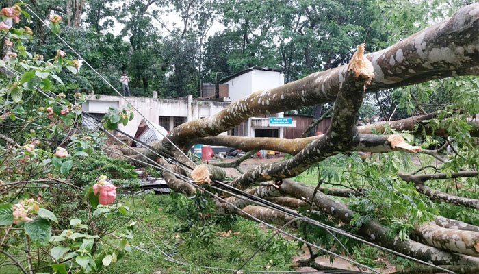 কমলগঞ্জে কালবৈশাখি ঝড়ে লন্ডভন্ড বিদ্যুৎ ব্যবস্থা, বিধ্বস্ত ৫৫ টি ঘর