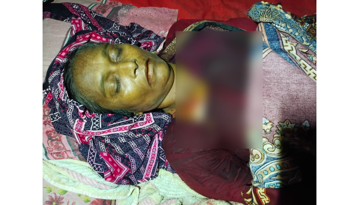গোয়াইনঘাটে দুর্বৃত্তদের ছুরিকাঘাতে নিহত বৃদ্ধা, আহত কিশোরী