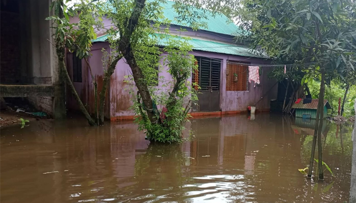 নদীর বাঁধ আছে, পানি নামার পথ নেই! জামালগঞ্জে সরকারি প্রকল্পে ডুবছে তেলিয়া গ্রাম