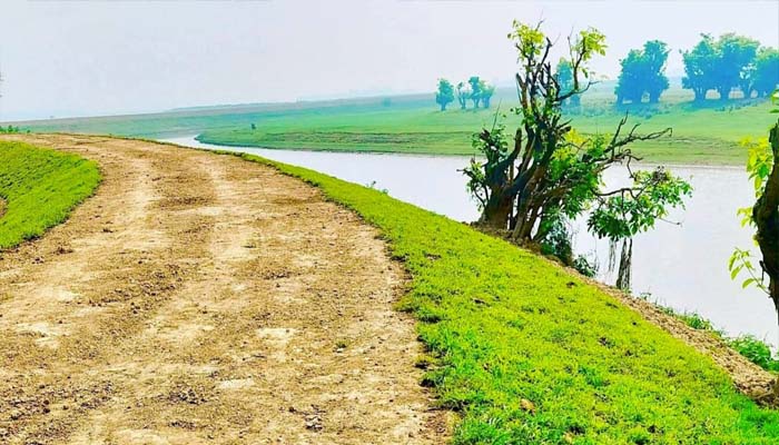 শাল্লায় হাওর রক্ষা বাঁধের টাকা না পেয়ে বিপাকে কৃষকরা