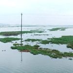 গোয়াইন, পিয়াইন ও সারি নদীর পানি বৃদ্ধি, প্লাবিত গোয়াইনঘাটের হাওরাঞ্চল