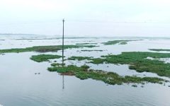 গোয়াইন, পিয়াইন ও সারি নদীর পানি বৃদ্ধি, প্লাবিত গোয়াইনঘাটের হাওরাঞ্চল
