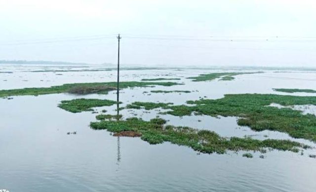 গোয়াইন, পিয়াইন ও সারি নদীর পানি বৃদ্ধি, প্লাবিত গোয়াইনঘাটের হাওরাঞ্চল