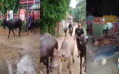 জৈন্তাপুরে চোখের সামনে দিয়ে যায় চোরাচালানের গাড়ি, ওসি দেখেন ‘বাইপাস’!