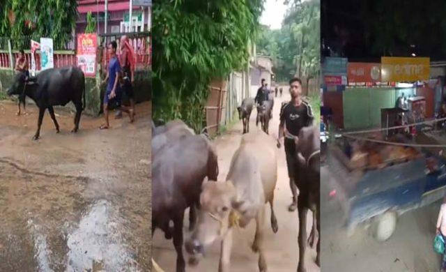জৈন্তাপুরে চোখের সামনে দিয়ে যায় চোরাচালানের গাড়ি, ওসি দেখেন ‘বাইপাস’!