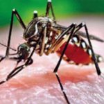 সিলেটে ২৪ ঘণ্টায় হাসপাতালে ভর্তি ৩ ডেঙ্গু রোগী