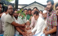 শাল্লায় শিক্ষা প্রতিষ্ঠান ও কৃষকদের মাঝে চারাগাছ বিতরণ করলেন এমপি নাছির