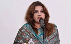 বেনজীরকে ফিরিয়ে এনে বিচার হবে: পররাষ্ট্র প্রতিমন্ত্রী