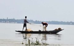 হাওরে মাছের সংকট, জীবিকা নিয়ে দুশ্চিন্তায় জামালগঞ্জের জেলেরা