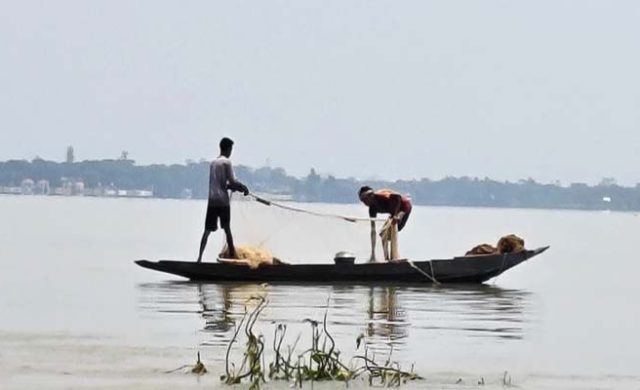 হাওরে মাছের সংকট, জীবিকা নিয়ে দুশ্চিন্তায় জামালগঞ্জের জেলেরা
