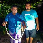 শ্রীমঙ্গলে বসতঘর থেকে বিষধর শঙ্খিনী সাপ উদ্ধার
