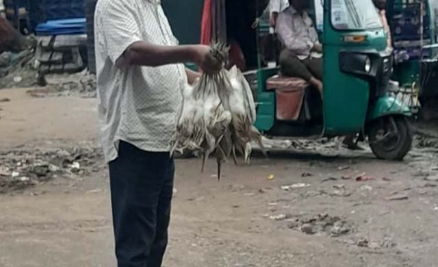হরিপুর বাজারে প্রকাশ্যে বিক্রি হচ্ছে পাখি