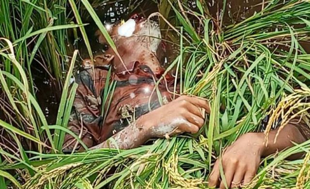 চুনারুঘাটে ধানের জমি থেকে যুবকের মরদেহ উদ্ধার