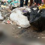 নারীর ৪ টুকরো মরদেহ উদ্ধার, পাওয়া যায়নি দুই পা