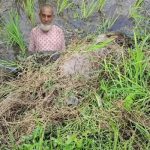 গোলাপগঞ্জে ক্ষেতের জমি থেকে বৃদ্ধের লাশ উদ্ধার